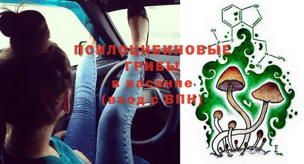 таблы Бородино