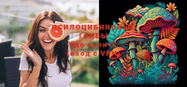 таблы Бородино