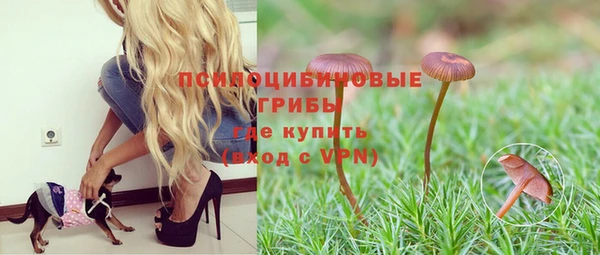 прущая мука Бронницы