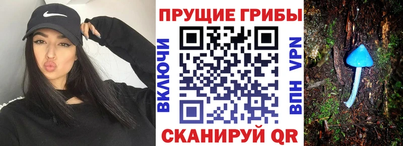 Купить Анапа Псилоцибиновые грибы мухоморы